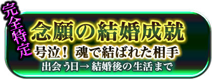 完全特定　念願の結婚成就　号泣！ 魂で結ばれた相手　出会う日→結婚後の生活まで