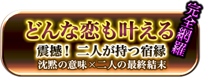 完全網羅　どんな恋も叶える　震撼！ 二人が持つ宿縁　沈黙の意味×二人の最終結末