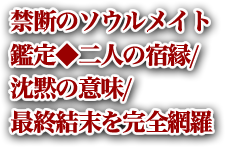 禁断のソウルメイト鑑定◆二人の宿縁/沈黙の意味/最終結末を完全網羅
